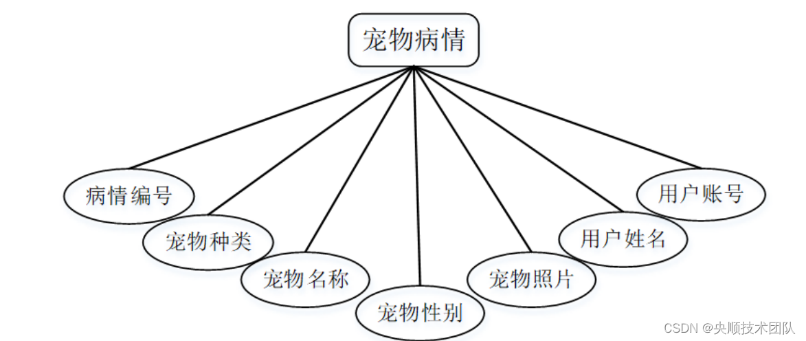 图4-3宠物病情实体图