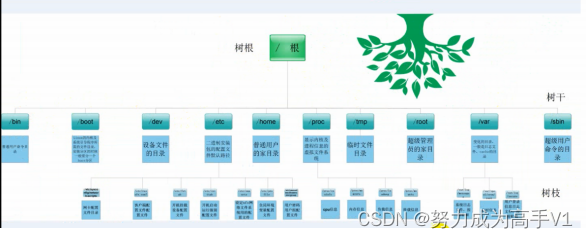 Linux的虚拟机操作