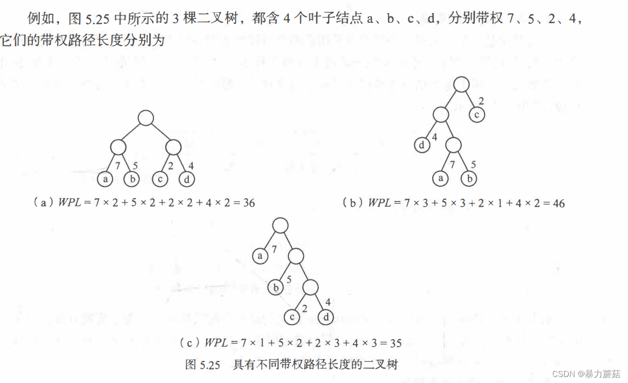 【数据结构5-树和二叉树-森林-哈夫曼树】