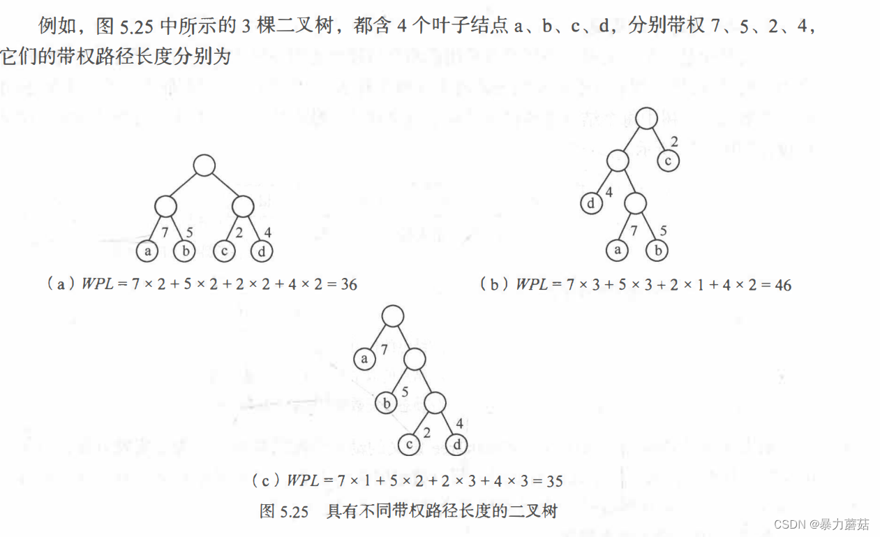 【数据结构-树和二叉树-森林-哈夫曼树】