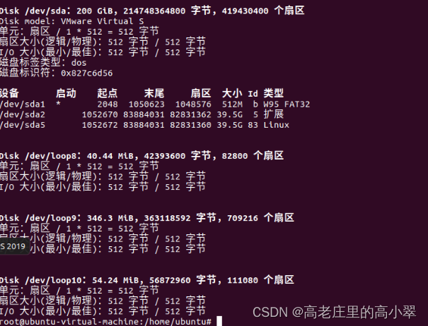 Ubuntu20.04 (VMware 虚拟机) fdisk -l 权限不够的解决办法
