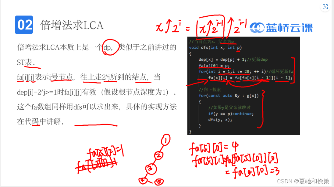 7.2.3 蓝桥杯基础数据结构之LCA_蓝桥lca-CSDN博客