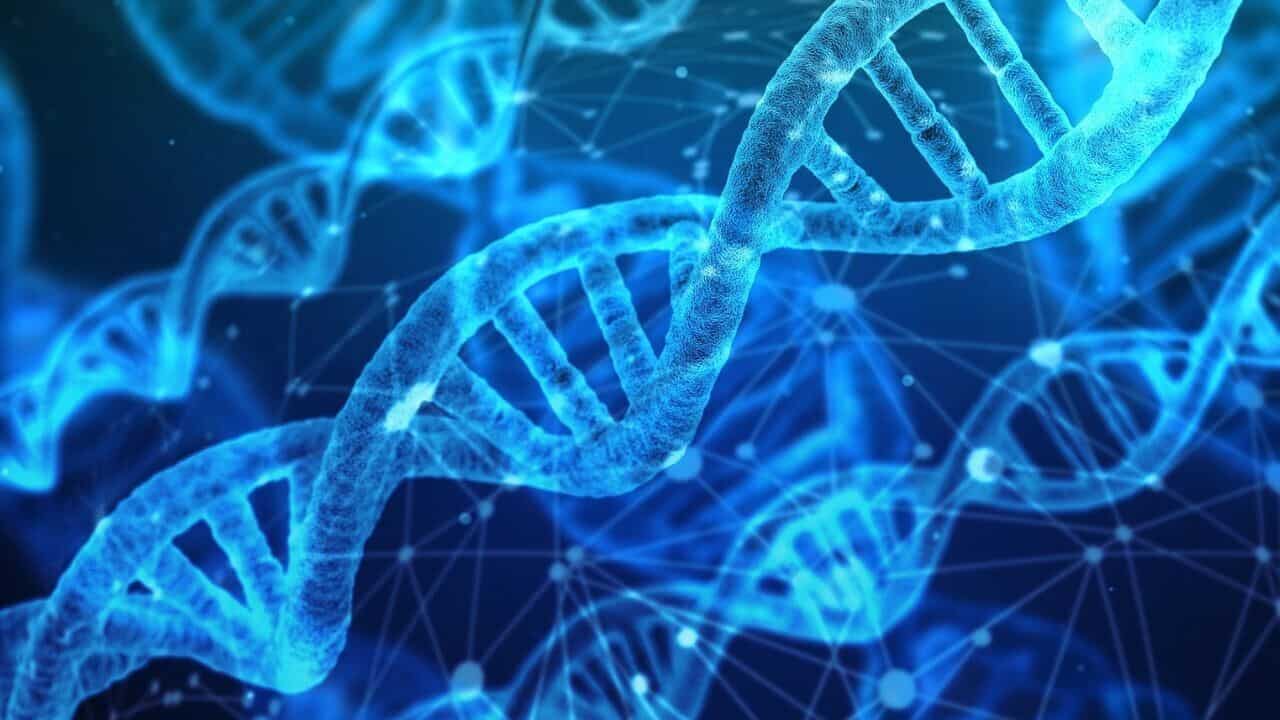 AI 重写人类DNA，开源基因编辑器问世；安卓版Gemini新增多项功能