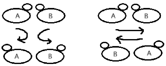 P8611 [蓝桥杯 2014 省 AB] <span style='color:red;'>蚂蚁</span><span style='color:red;'>感冒</span>