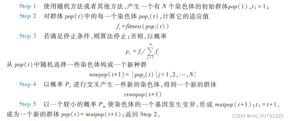 遗传算法的基本步骤