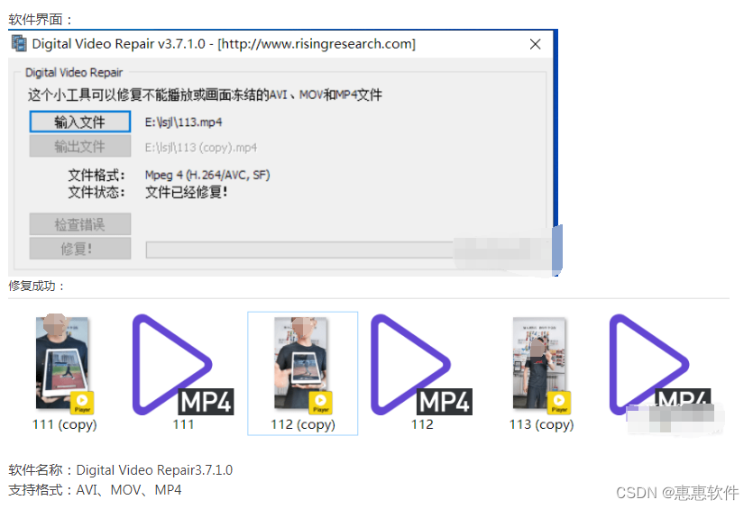 Digital Video Repair3.7.1.0 --一款免费的视频文件修复工具，供大家学习研究参考