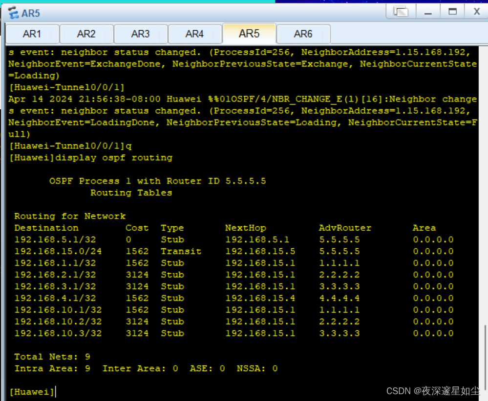 MGRE环境下运行OSPF