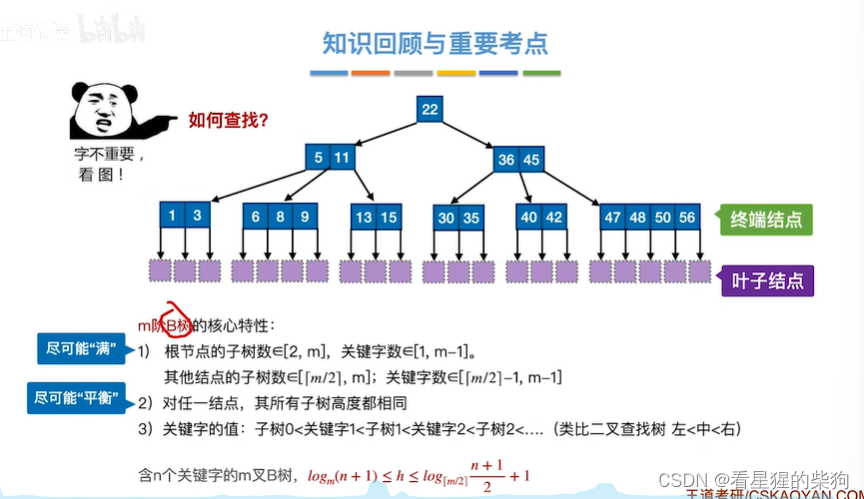 数据结构和算法-B树（B树的查找 B树的最大高度和最小高度）