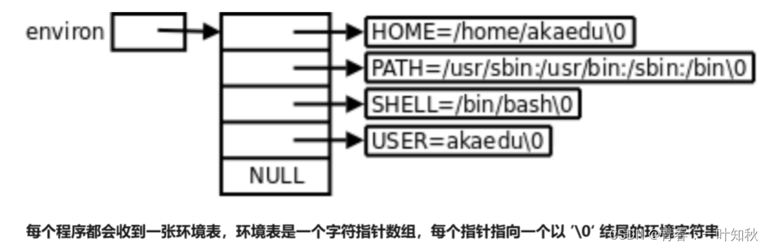 【<span style='color:red;'>Linux</span>系统编程】<span style='color:red;'>环境</span><span style='color:red;'>变量</span><span style='color:red;'>的</span>组织<span style='color:red;'>方式</span>