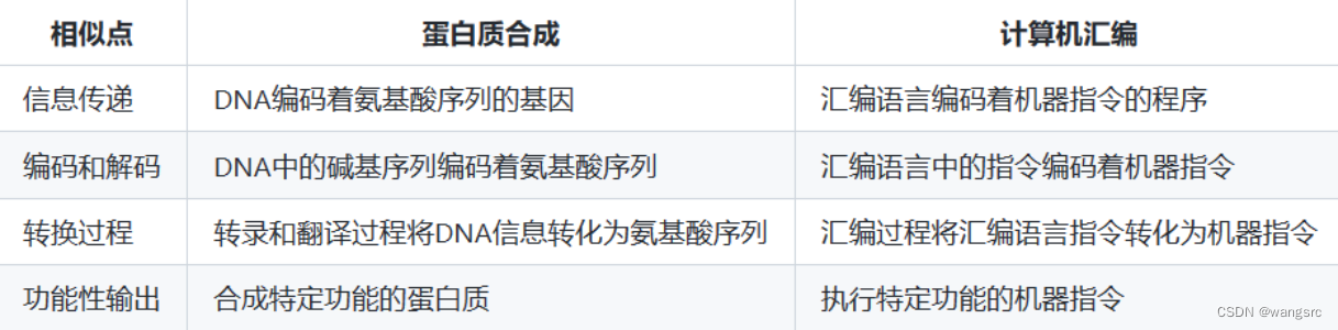 蛋白质合成与<span style='color:red;'>计算机</span><span style='color:red;'>汇编</span>的相似点