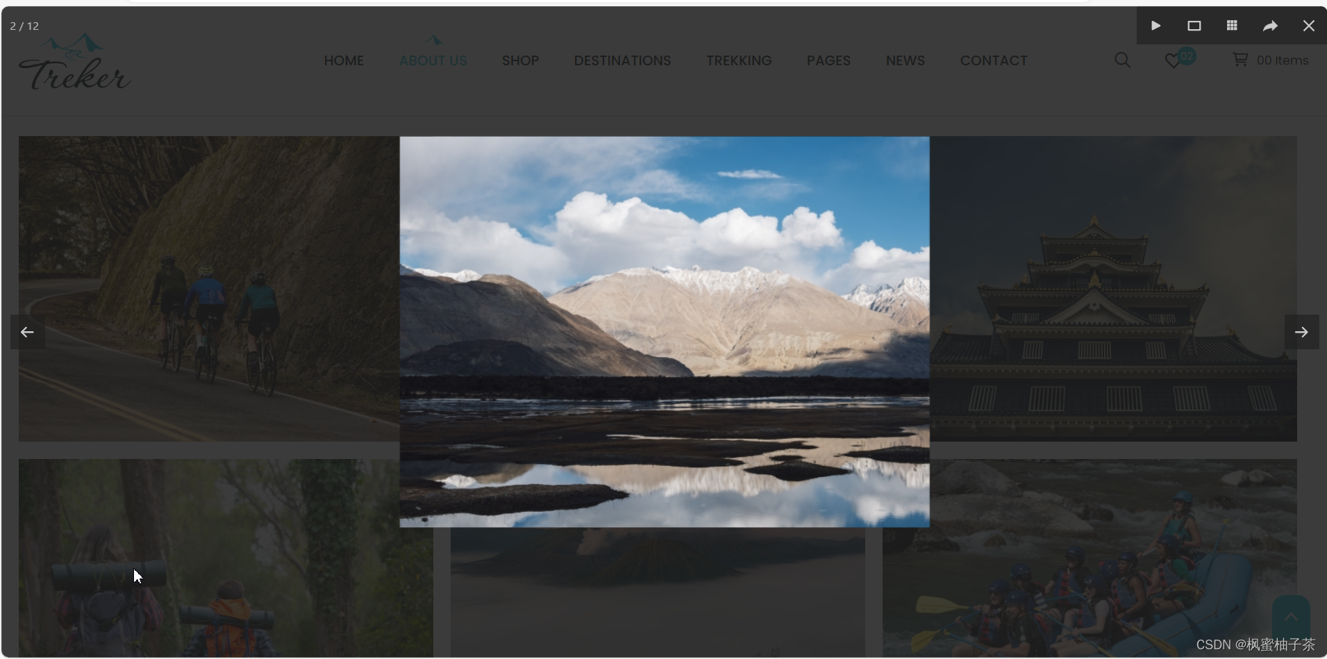 精致旅游公司Treker网页设计 html模板