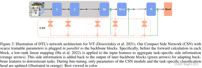 Disentangled Transfer Learning for Visual Recognition