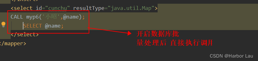 java代码中直接调用存储过程