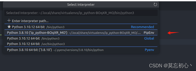 vscode对应python环境