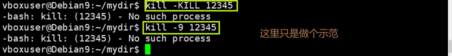 Linux系统的进程，看完它，相信你想kill“it“就kill“it“o((＞ω＜ ))o