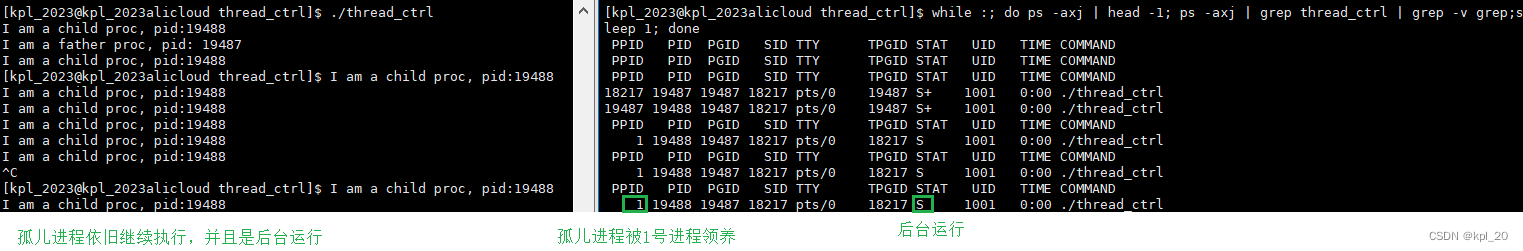 运行结果