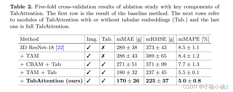 TabAttention：基于表格数据的条件注意力学习