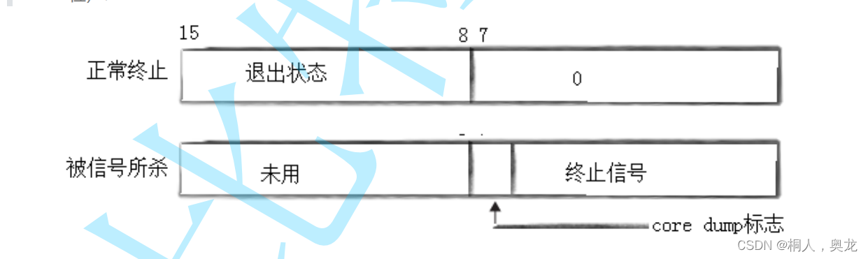 进程地址空间