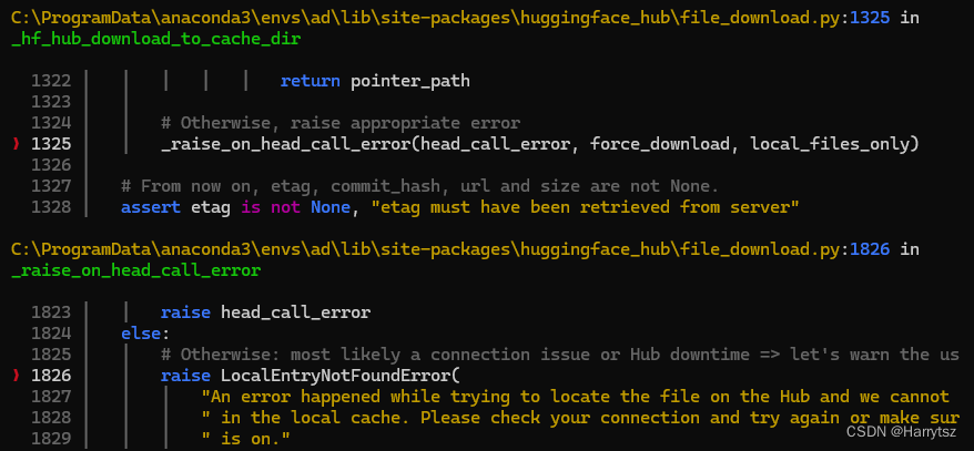 huggingface_hub LocalEntryNotFoundErroringface