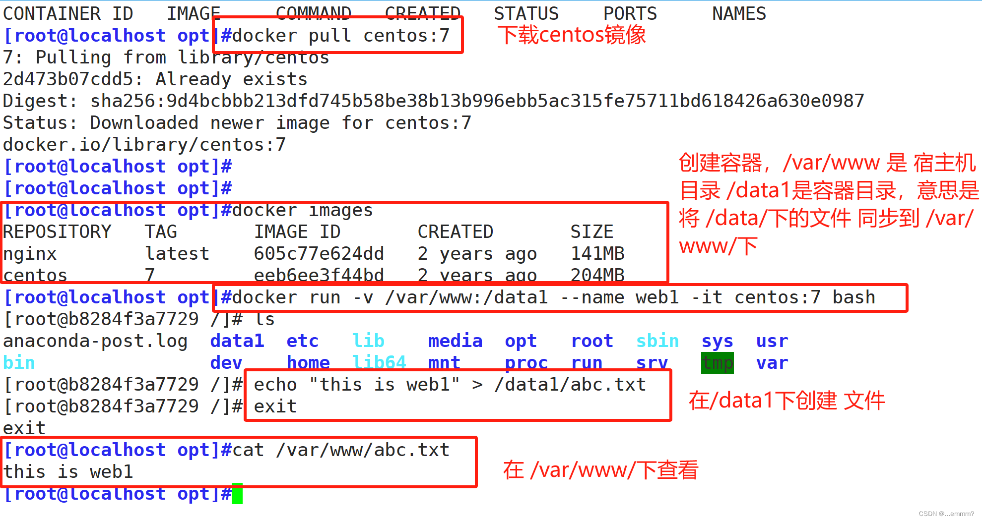 Docker数据管理+镜像的创建