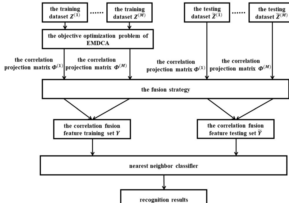 Exponential Multi-Modal Discriminant Feature Fusion for Small Sample Size