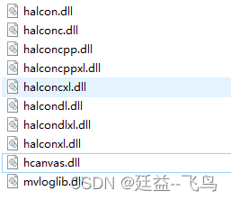 Halcon C++ 环境与配置