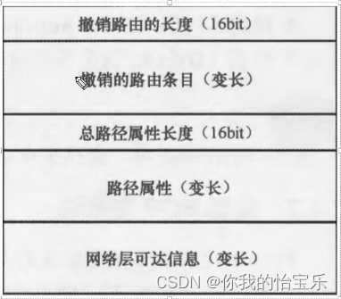 HCIP --- BGP 基础 （中）