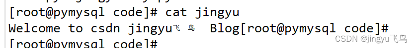 python文件操作、文件操作、读写文件、写模式