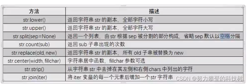 python 函数字符串