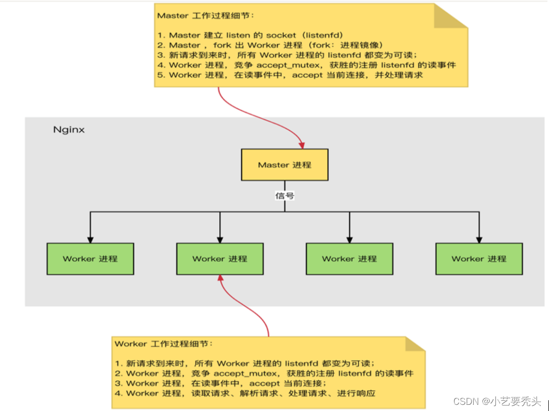 初始Nginx（基本概念）