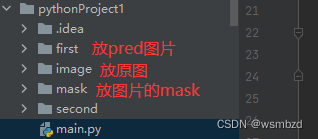 在图片上画出mask和pred