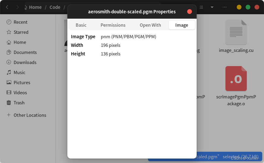 Learn CUDA Programming第二章 scaling image例子报错 invalid argument