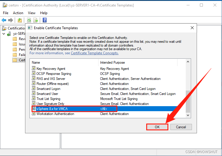 【vSphere 8 自签名 VMCA 证书】企业 CA 签名证书替换 vSphere VMCA CA 证书Ⅱ—— 创建和添加证书模板