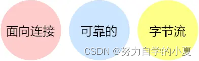 TCP 传输层通信协议特点