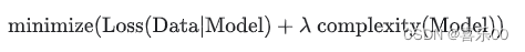 minimize(Loss(Data|Model)+� complexity(Model))