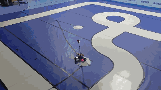 可以在一届夏令营中, 根据参加学生的数量,选择其中一个或者多个赛道