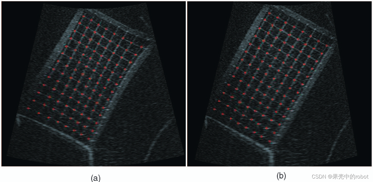 图4 (a) DIDSON声呐的原始数据。（b）基于相机标定的矫正图像。（a）中标记的角是用于校准的网格点，（b）中的标记表示投影到校正图像上的已知 3D 网格点。