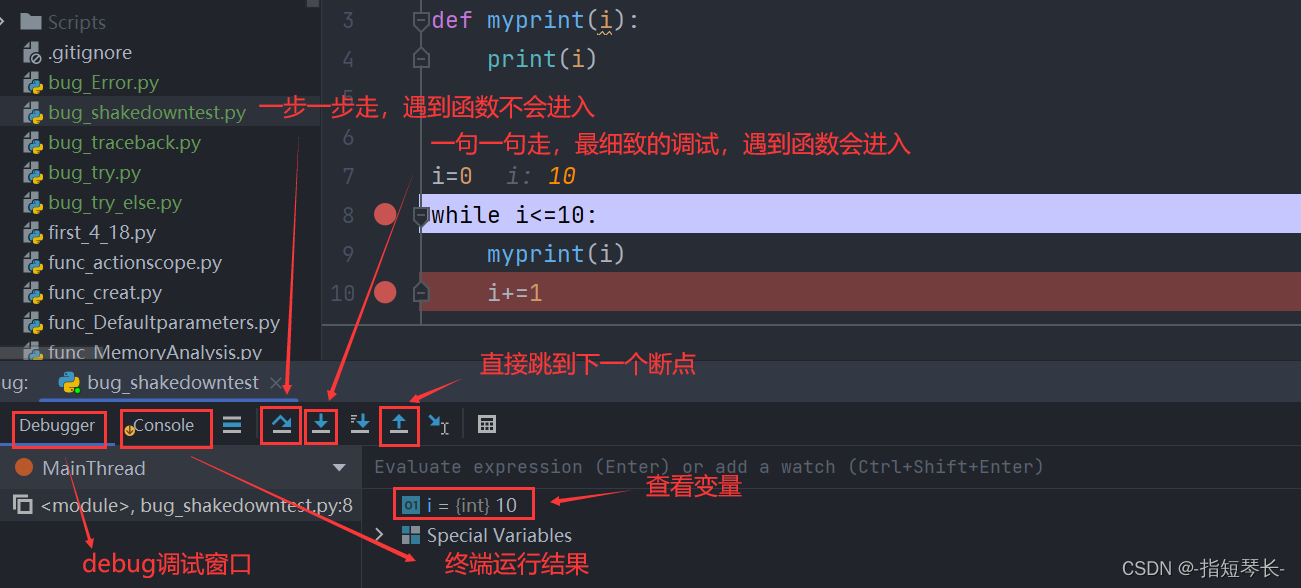 Python急速入门——（第十章：bug和调试）