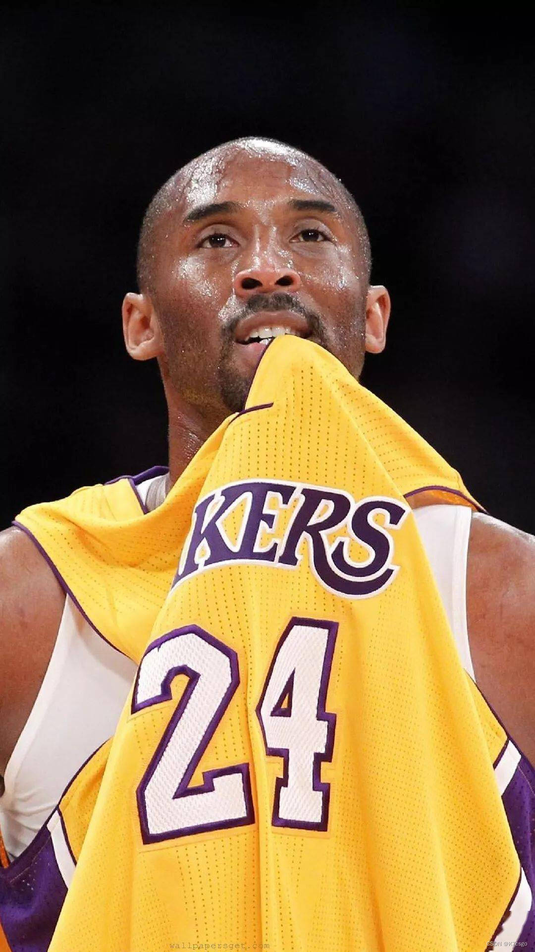 nba超级巨星科比布莱恩职业生涯