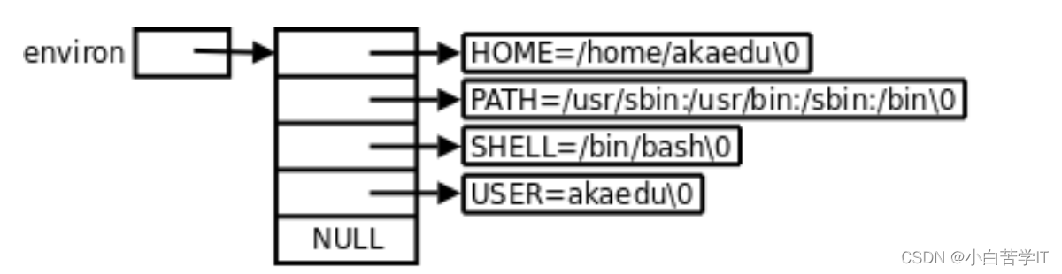 Linux操作系统——进程（五）环境变量