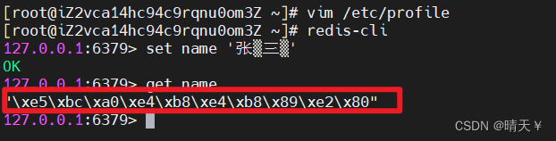 Redis如何把字符集的编码格式设置为UTF-8_redis 在线修改编码-CSDN博客