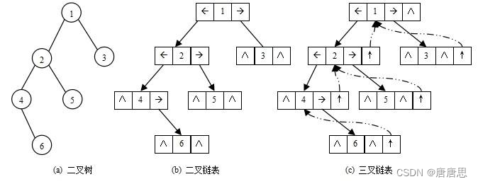 数据结构【树+二叉树】