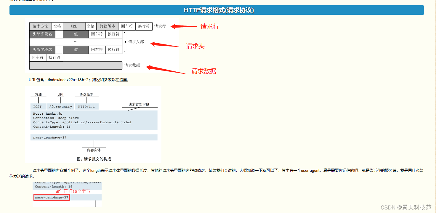 【计算机网络】http协议的原理与应用，https是如何保证安全传输的,在这里插入图片描述,词库加载错误:未能找到文件“C:\Users\Administrator\Desktop\火车头9.8破解版\Configuration\Dict_Stopwords.txt”。,服务,服务器,网络,第5张