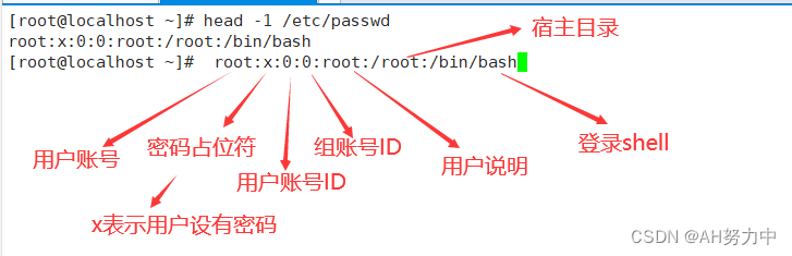 Linux账号和权限管理