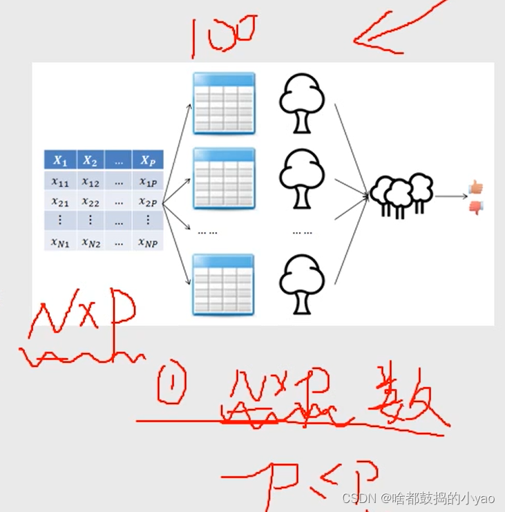 Python大数据分析——决策树和随机森林