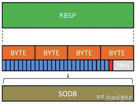 视频基础学习六——视频编码基础三（h264框架配合图文+具体抓包分析 万字）