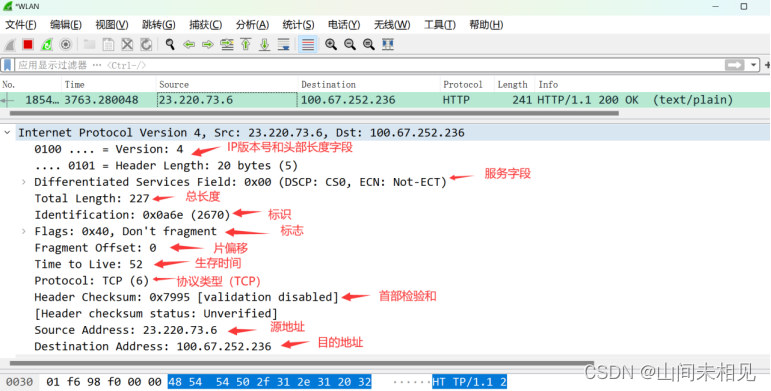 IP 数据报的格式