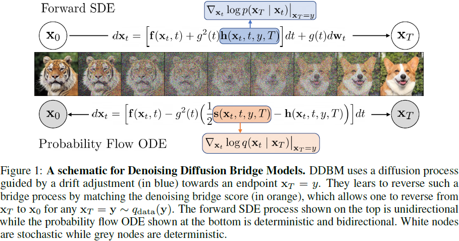 2024iclrddbm基於分數的ode和sdedoob的h變換去噪擴散橋模型