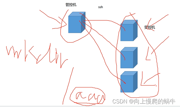 ansible-自动化工具