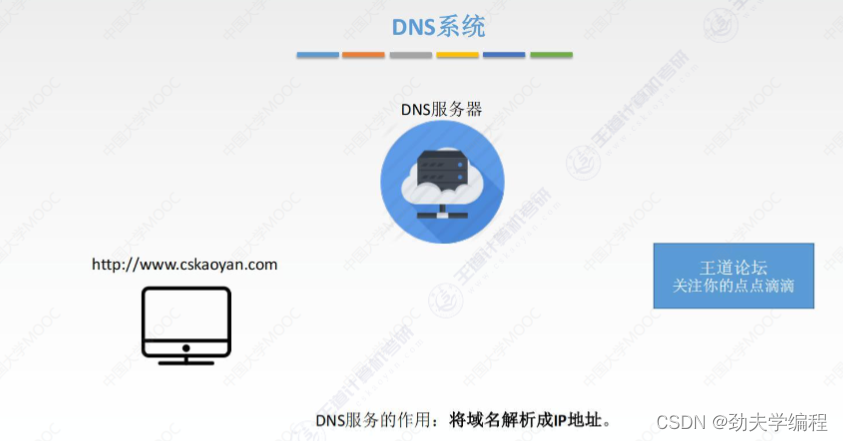 关于查域名的信息